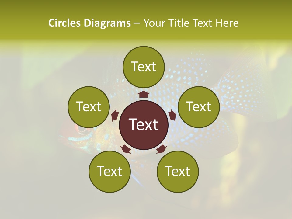 Pet Beautiful Little PowerPoint Template