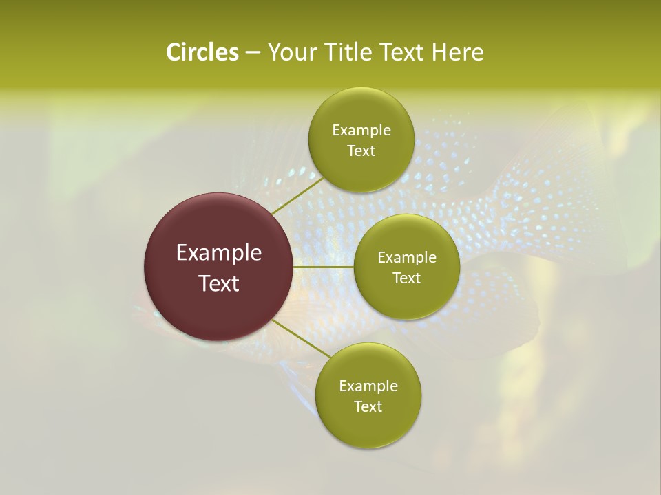 Pet Beautiful Little PowerPoint Template