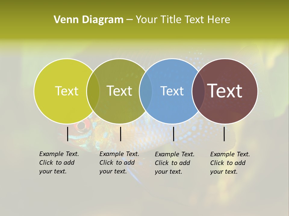 Pet Beautiful Little PowerPoint Template