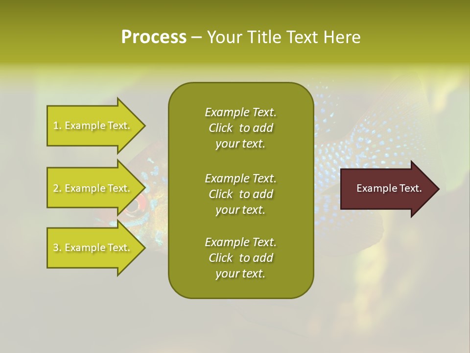 Pet Beautiful Little PowerPoint Template