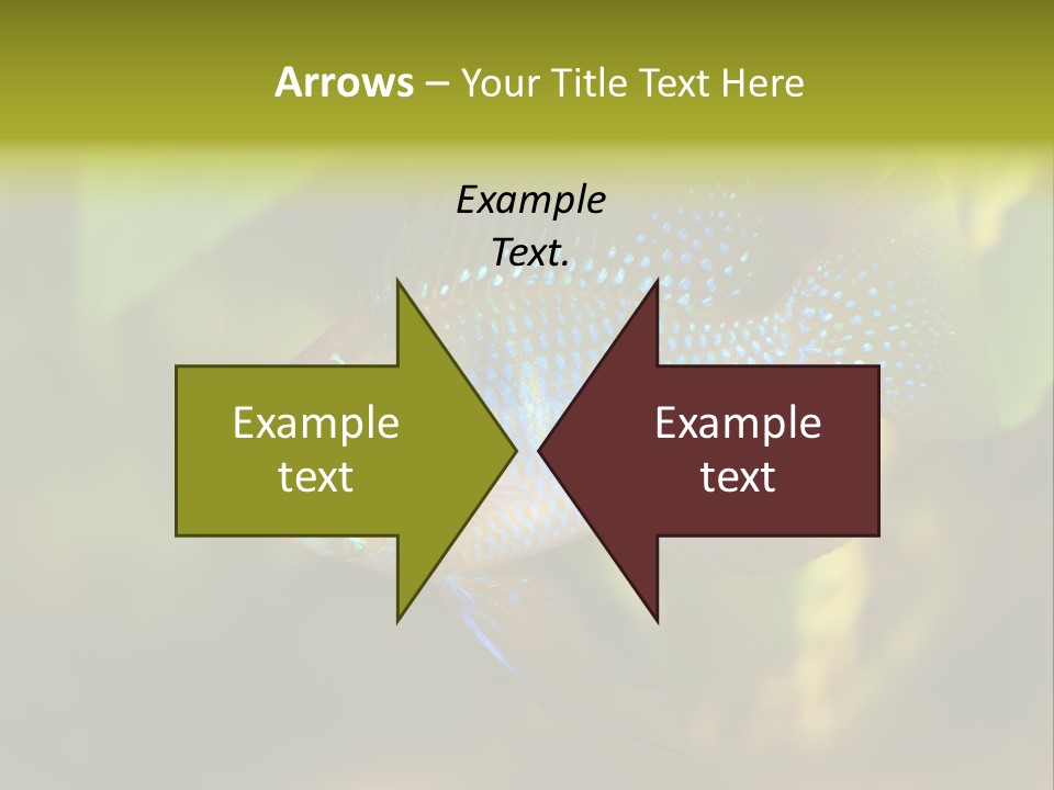 Pet Beautiful Little PowerPoint Template