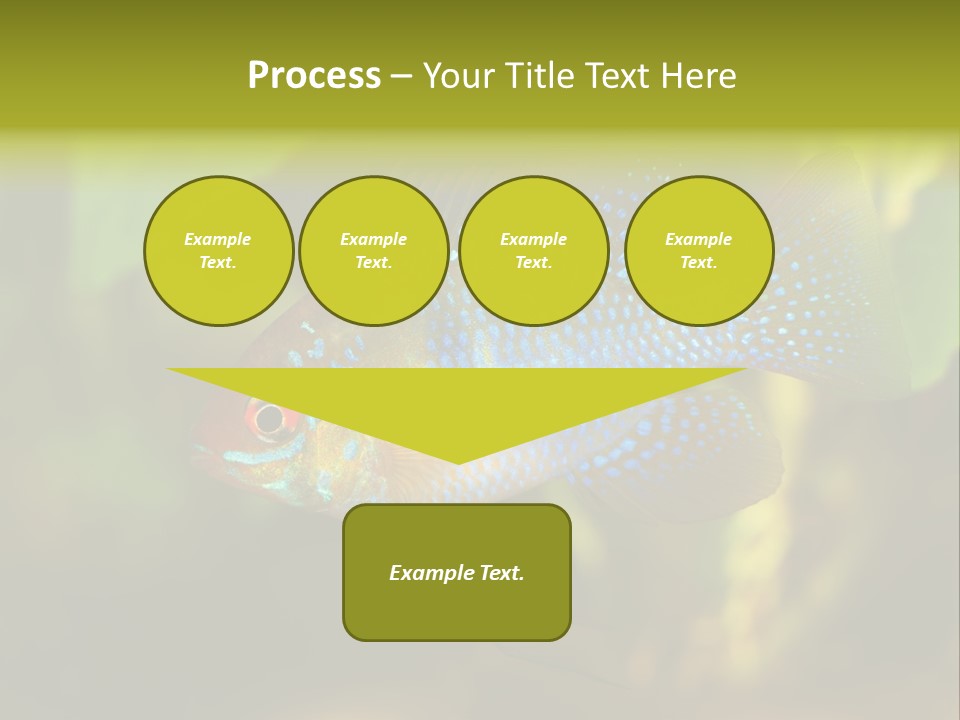 Pet Beautiful Little PowerPoint Template