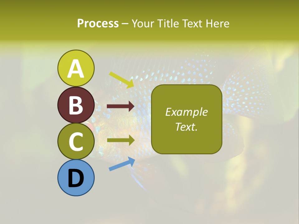 Pet Beautiful Little PowerPoint Template