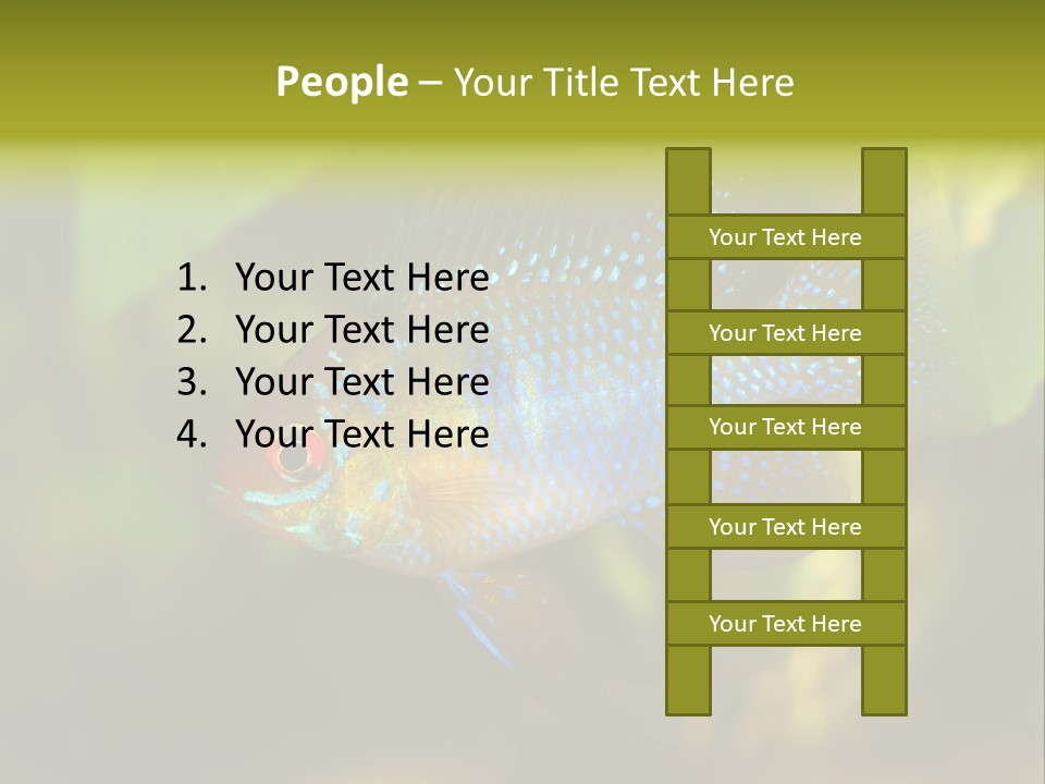 Pet Beautiful Little PowerPoint Template