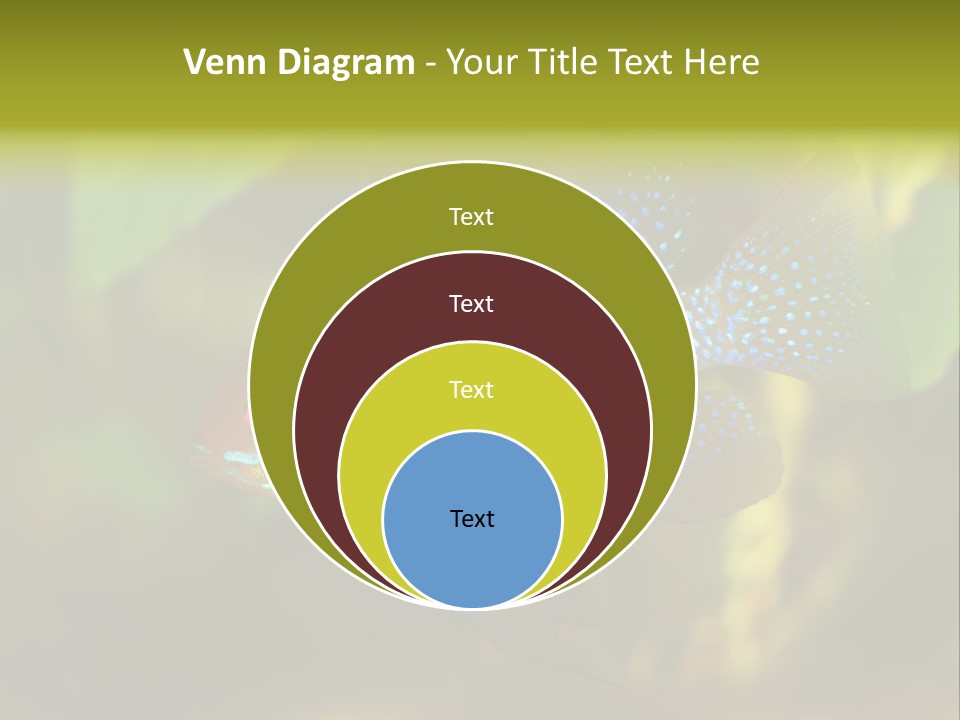 Pet Beautiful Little PowerPoint Template