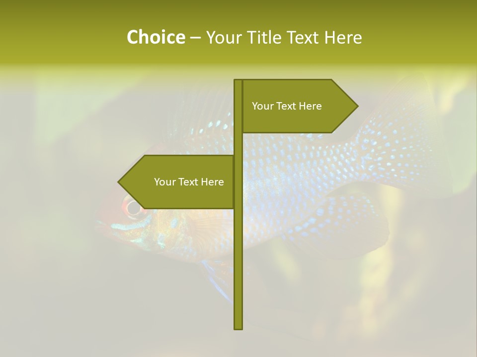 Pet Beautiful Little PowerPoint Template