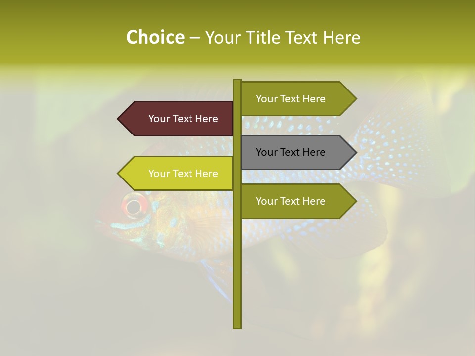 Pet Beautiful Little PowerPoint Template