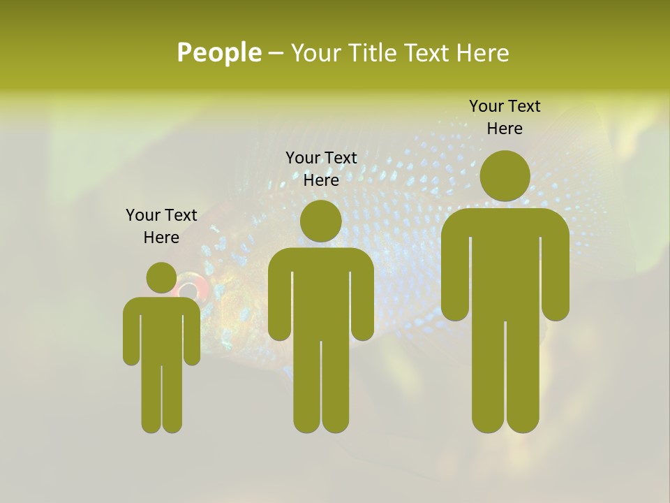 Pet Beautiful Little PowerPoint Template