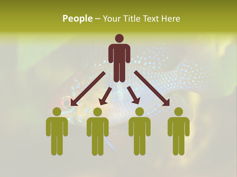 Pet Beautiful Little PowerPoint Template