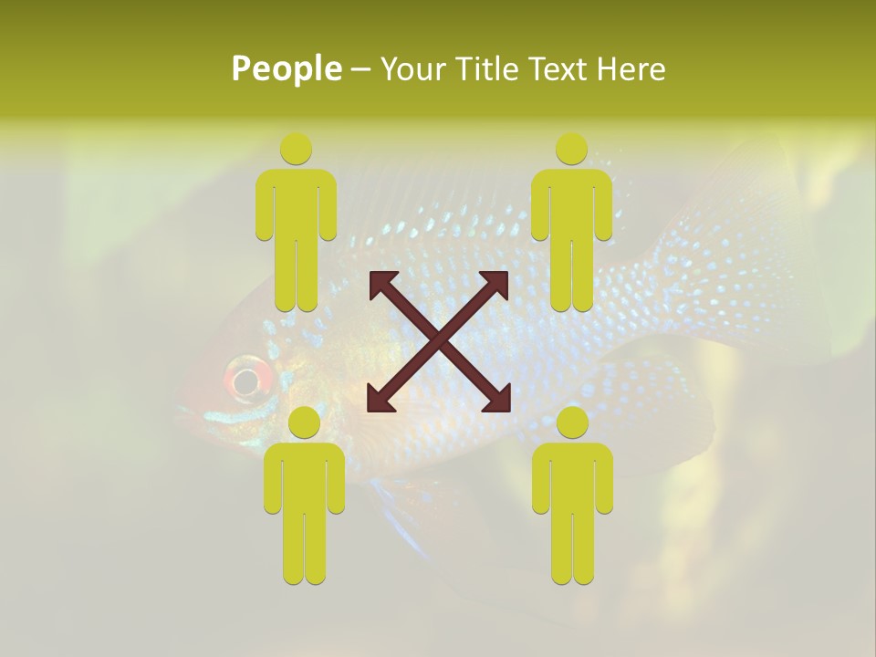 Pet Beautiful Little PowerPoint Template