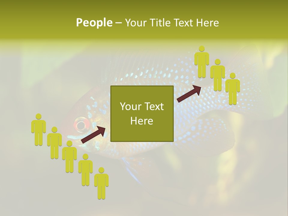 Pet Beautiful Little PowerPoint Template