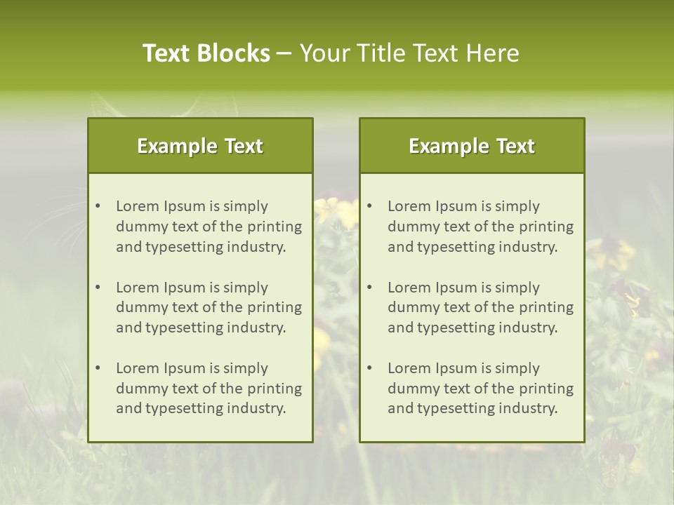 Mammal British Shorthair Studio PowerPoint Template
