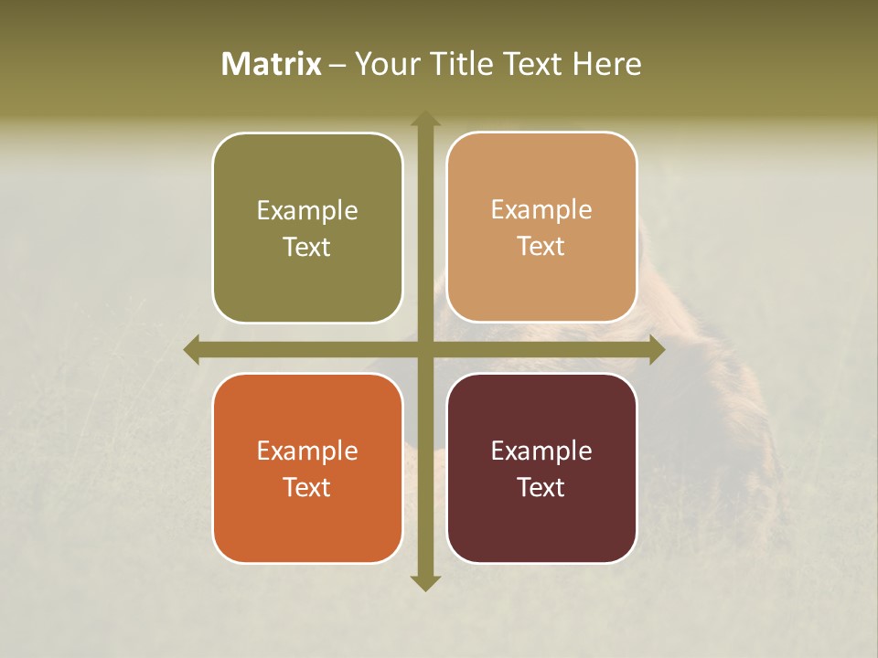 Serengeti Wild Dog Southern African Wild Dog African Hunting Dog PowerPoint Template