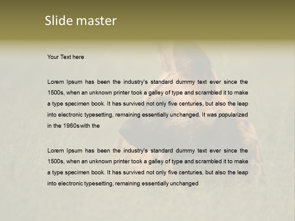 Serengeti Wild Dog Southern African Wild Dog African Hunting Dog PowerPoint Template