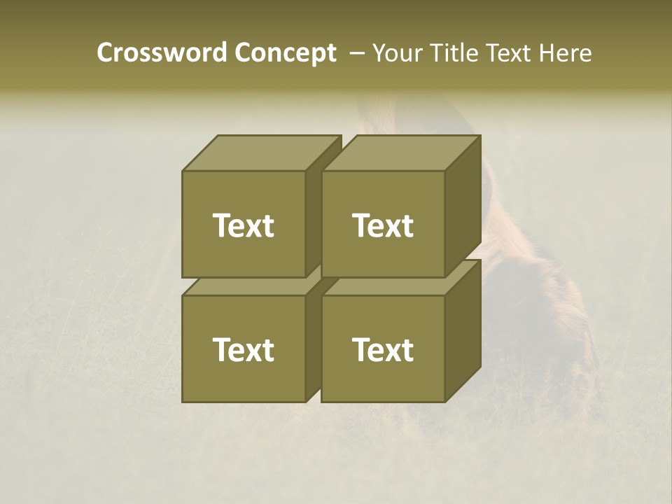 Serengeti Wild Dog Southern African Wild Dog African Hunting Dog PowerPoint Template