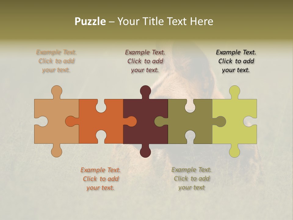 Serengeti Wild Dog Southern African Wild Dog African Hunting Dog PowerPoint Template