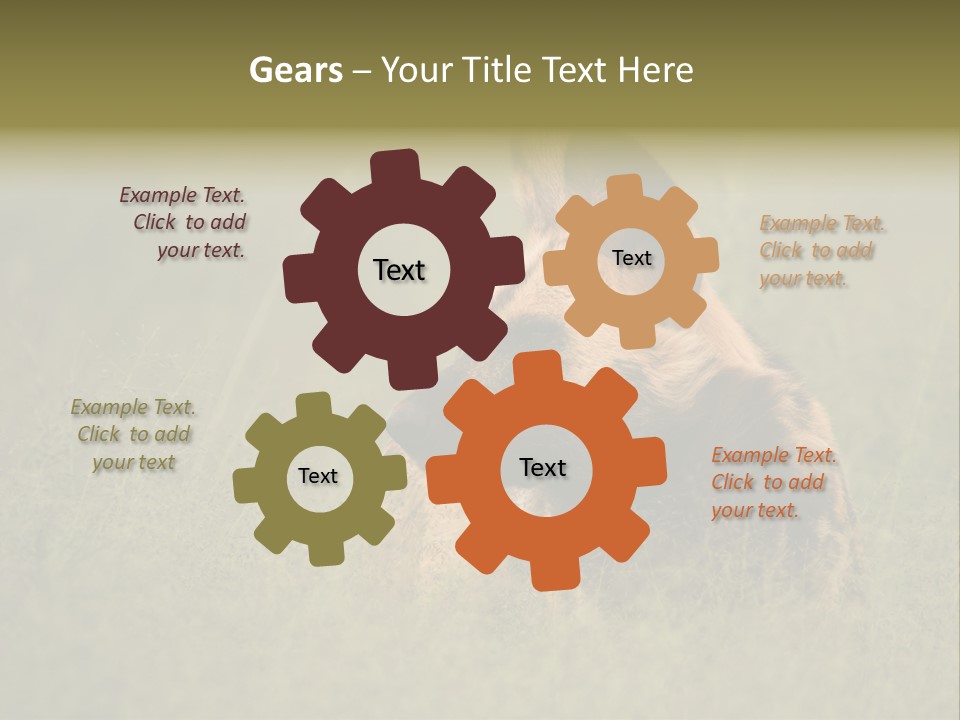 Serengeti Wild Dog Southern African Wild Dog African Hunting Dog PowerPoint Template