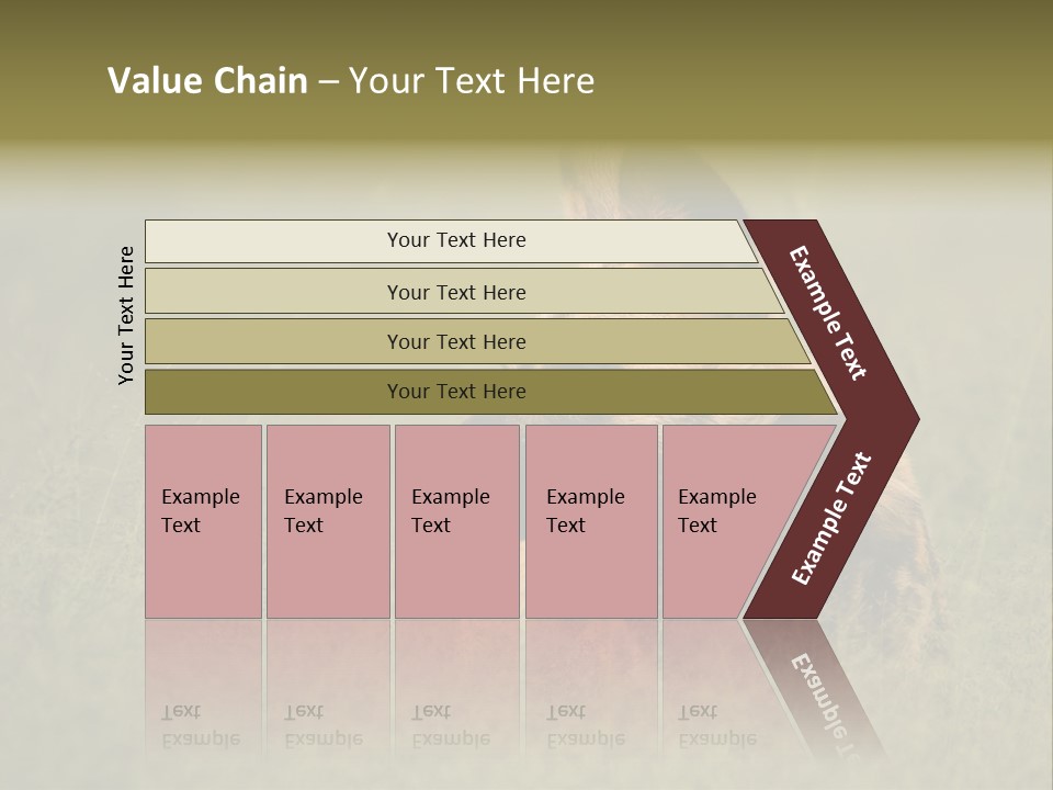 Serengeti Wild Dog Southern African Wild Dog African Hunting Dog PowerPoint Template