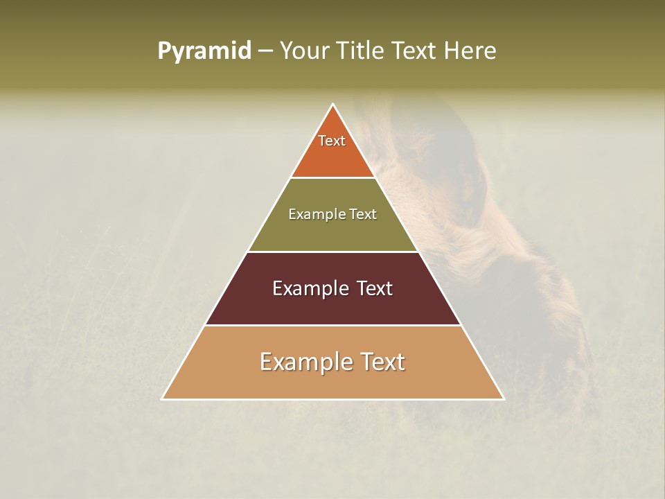 Serengeti Wild Dog Southern African Wild Dog African Hunting Dog PowerPoint Template