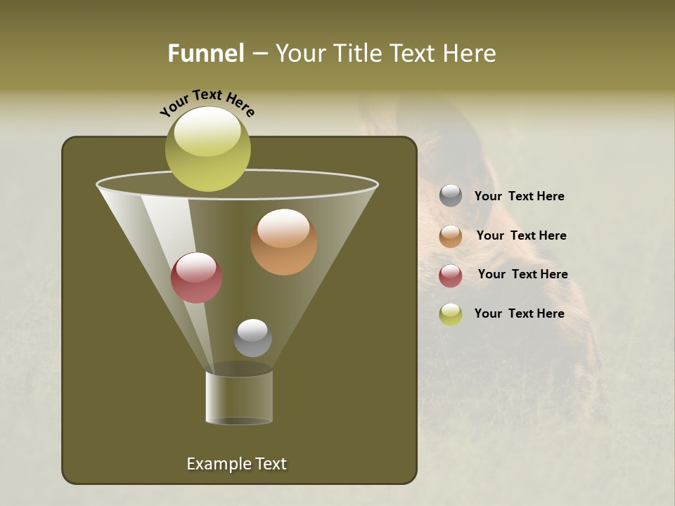 Serengeti Wild Dog Southern African Wild Dog African Hunting Dog PowerPoint Template