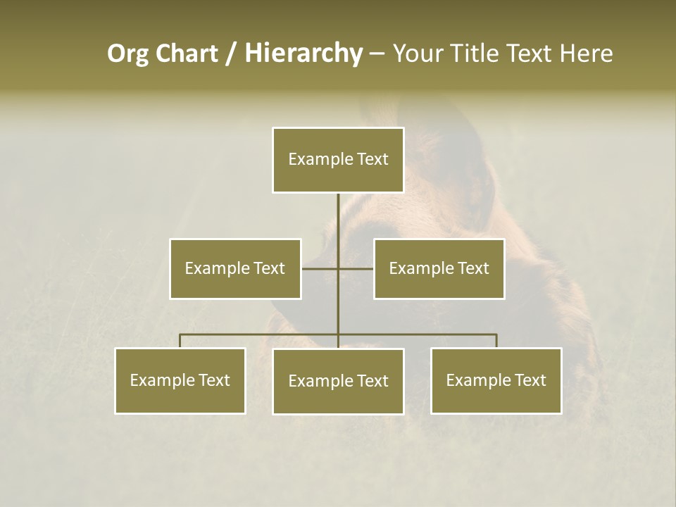 Serengeti Wild Dog Southern African Wild Dog African Hunting Dog PowerPoint Template