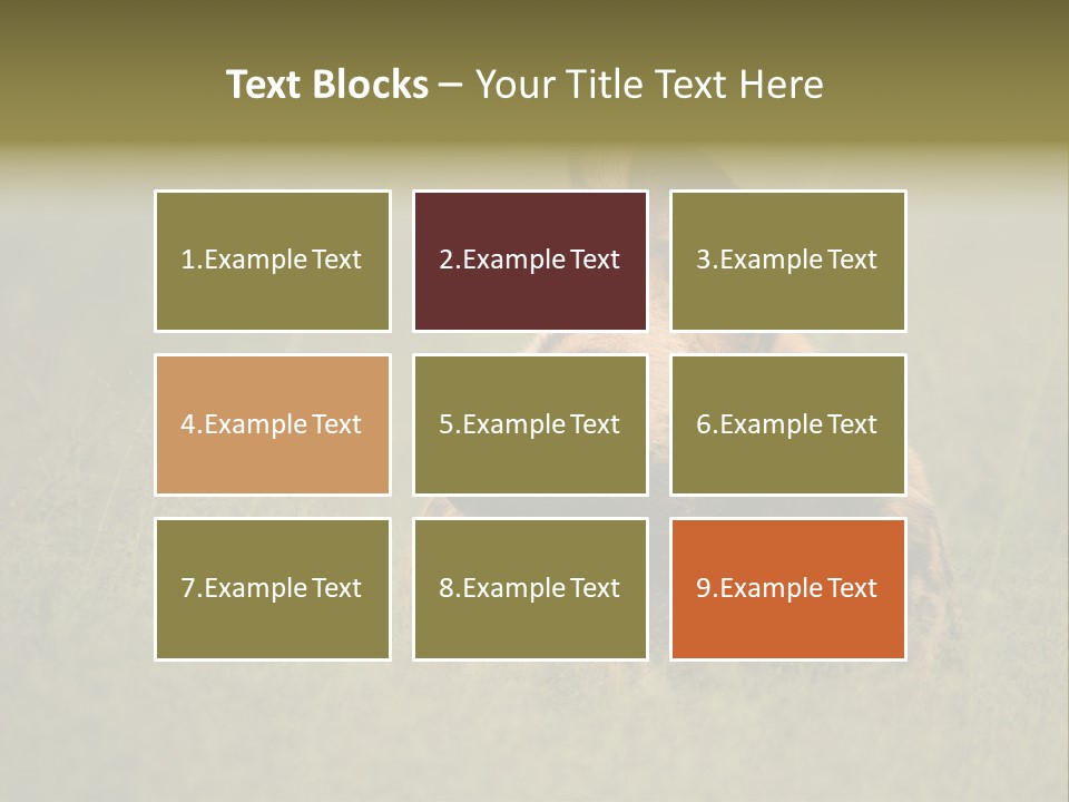 Serengeti Wild Dog Southern African Wild Dog African Hunting Dog PowerPoint Template