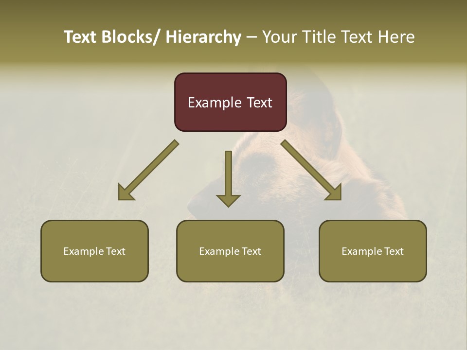 Serengeti Wild Dog Southern African Wild Dog African Hunting Dog PowerPoint Template