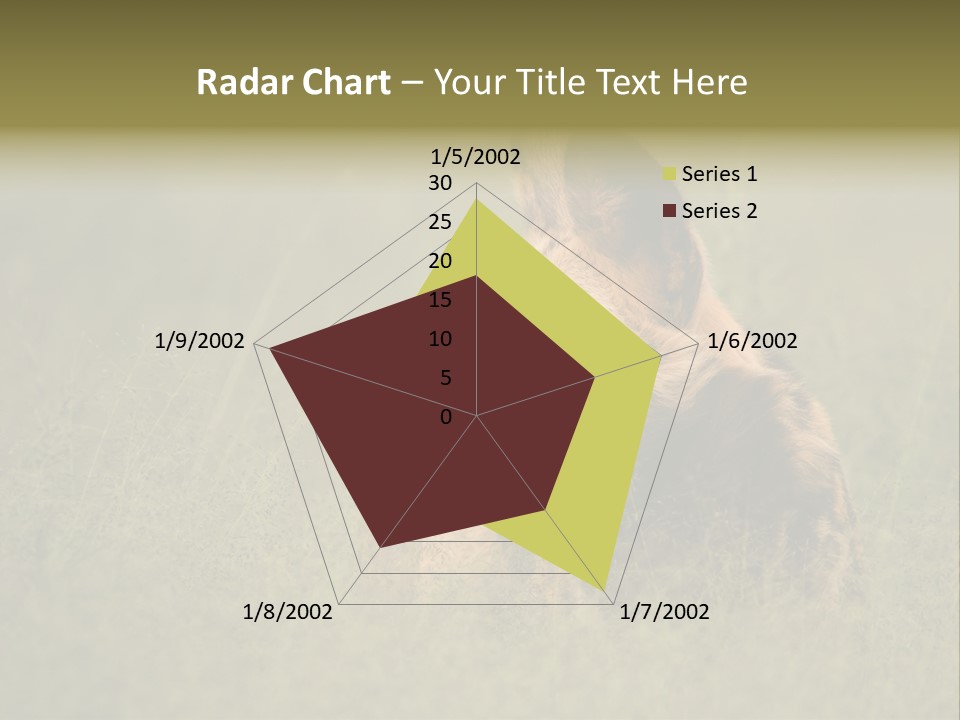 Serengeti Wild Dog Southern African Wild Dog African Hunting Dog PowerPoint Template