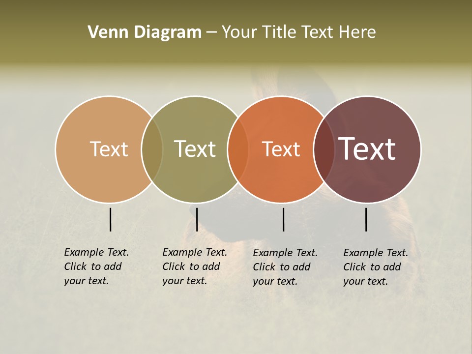 Serengeti Wild Dog Southern African Wild Dog African Hunting Dog PowerPoint Template