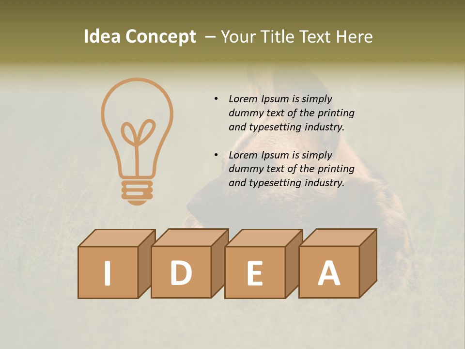 Serengeti Wild Dog Southern African Wild Dog African Hunting Dog PowerPoint Template