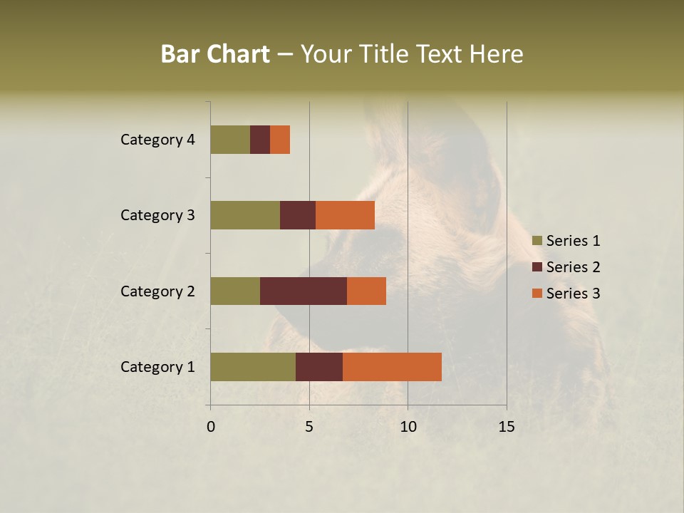 Serengeti Wild Dog Southern African Wild Dog African Hunting Dog PowerPoint Template
