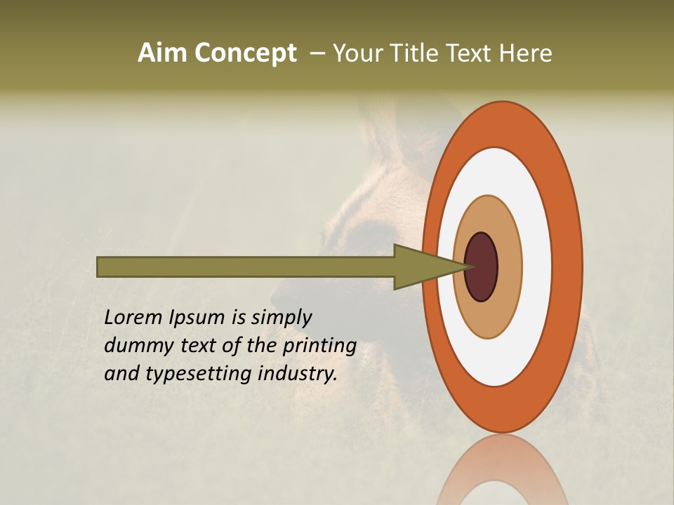 Serengeti Wild Dog Southern African Wild Dog African Hunting Dog PowerPoint Template