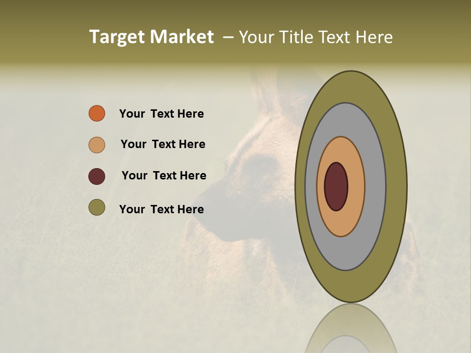 Serengeti Wild Dog Southern African Wild Dog African Hunting Dog PowerPoint Template