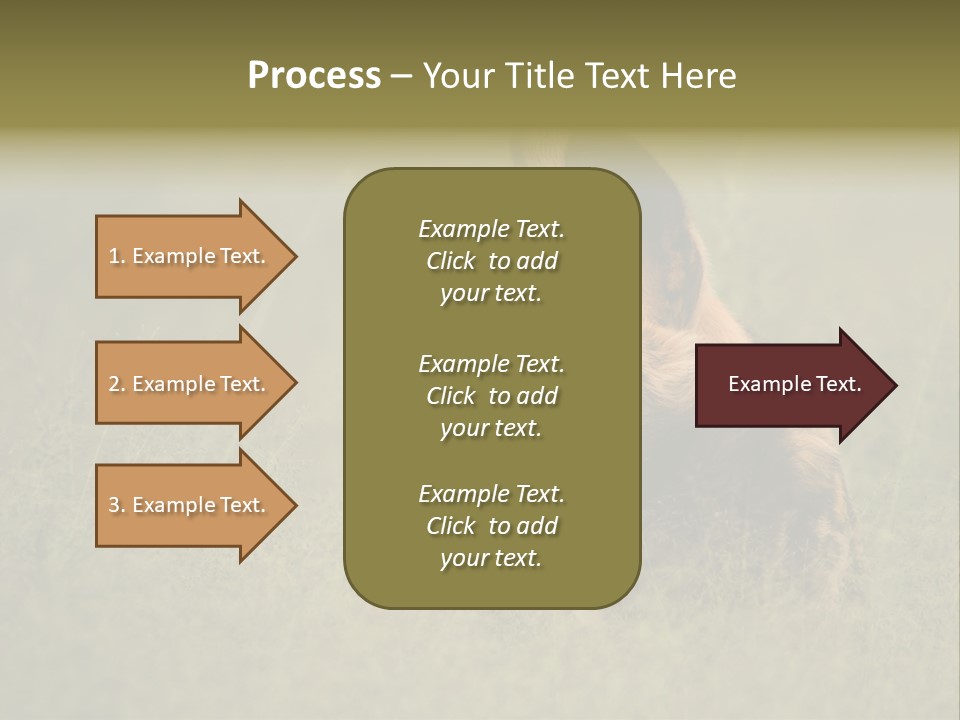 Serengeti Wild Dog Southern African Wild Dog African Hunting Dog PowerPoint Template