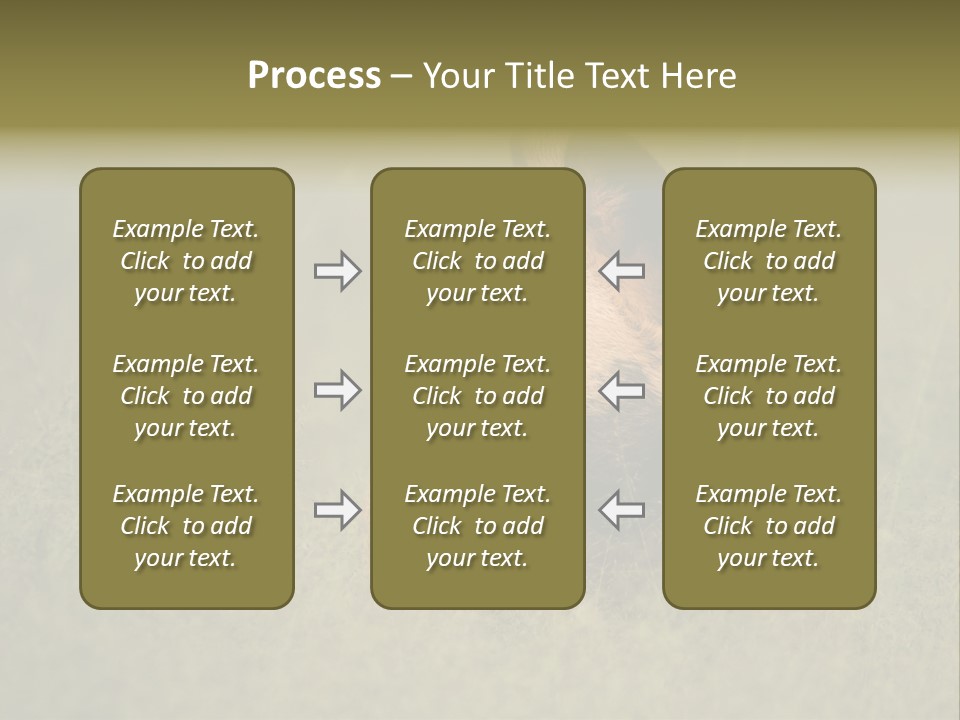 Serengeti Wild Dog Southern African Wild Dog African Hunting Dog PowerPoint Template