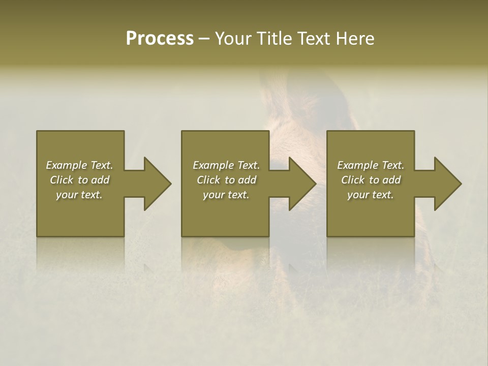 Serengeti Wild Dog Southern African Wild Dog African Hunting Dog PowerPoint Template