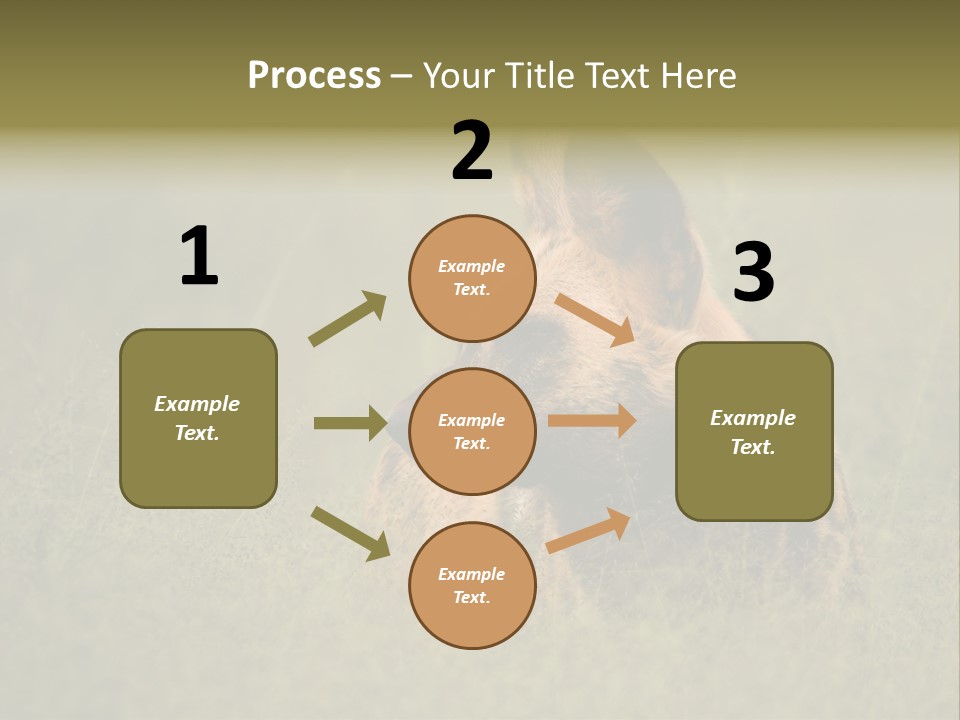 Serengeti Wild Dog Southern African Wild Dog African Hunting Dog PowerPoint Template
