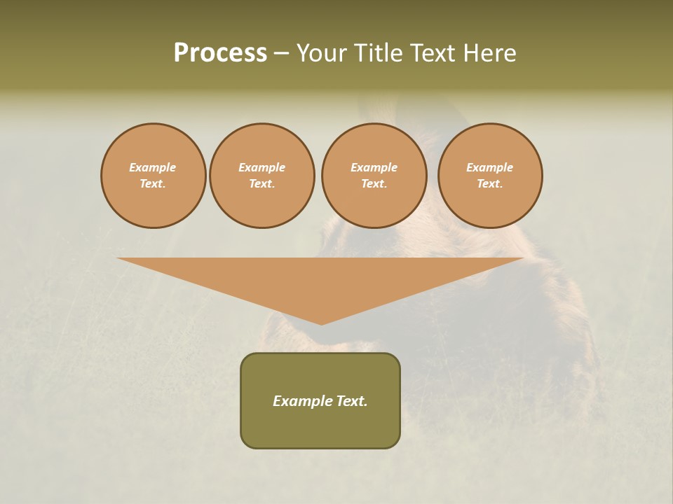 Serengeti Wild Dog Southern African Wild Dog African Hunting Dog PowerPoint Template