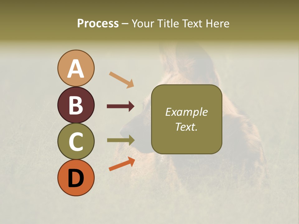 Serengeti Wild Dog Southern African Wild Dog African Hunting Dog PowerPoint Template