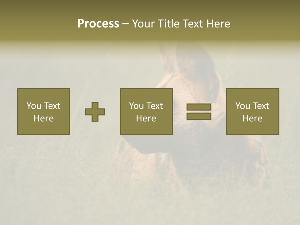 Serengeti Wild Dog Southern African Wild Dog African Hunting Dog PowerPoint Template