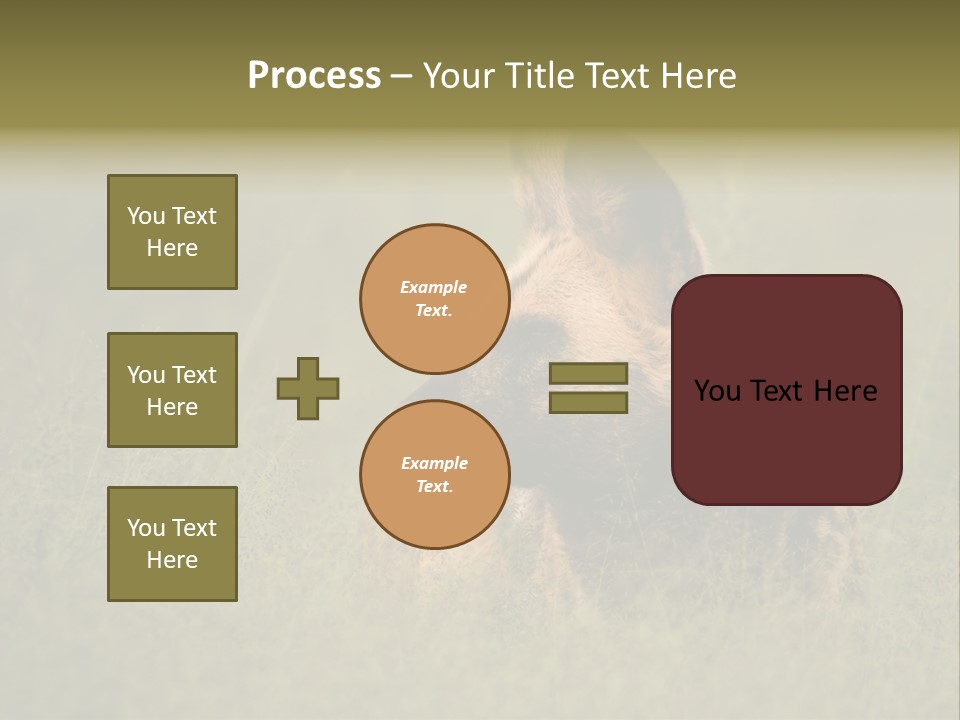 Serengeti Wild Dog Southern African Wild Dog African Hunting Dog PowerPoint Template