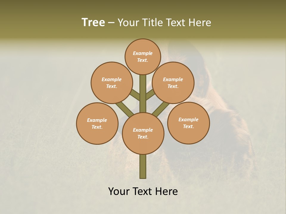 Serengeti Wild Dog Southern African Wild Dog African Hunting Dog PowerPoint Template