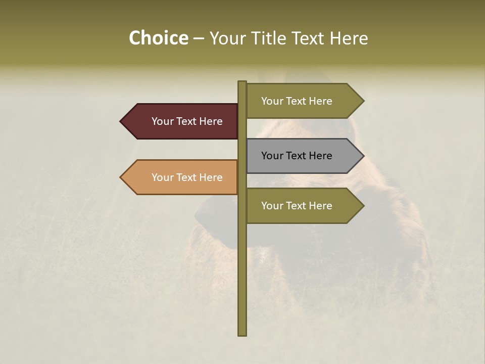 Serengeti Wild Dog Southern African Wild Dog African Hunting Dog PowerPoint Template