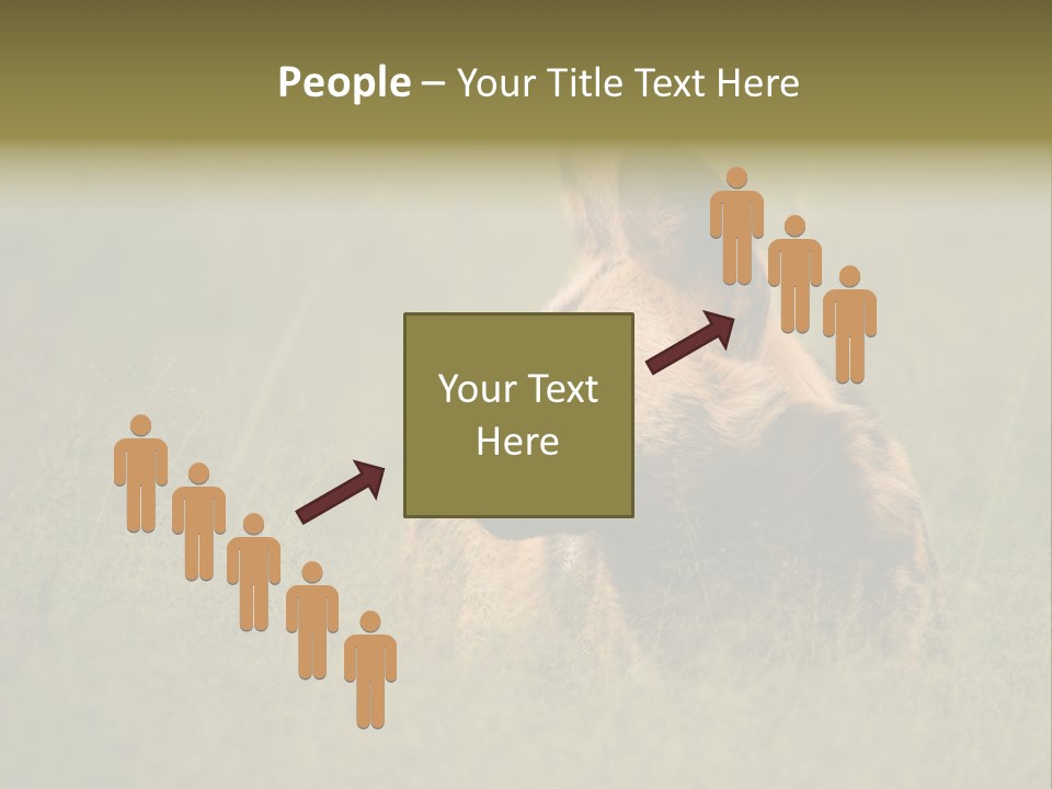 Serengeti Wild Dog Southern African Wild Dog African Hunting Dog PowerPoint Template