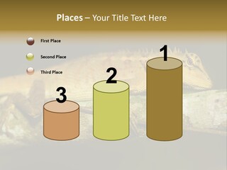 Color Eye Single PowerPoint Template