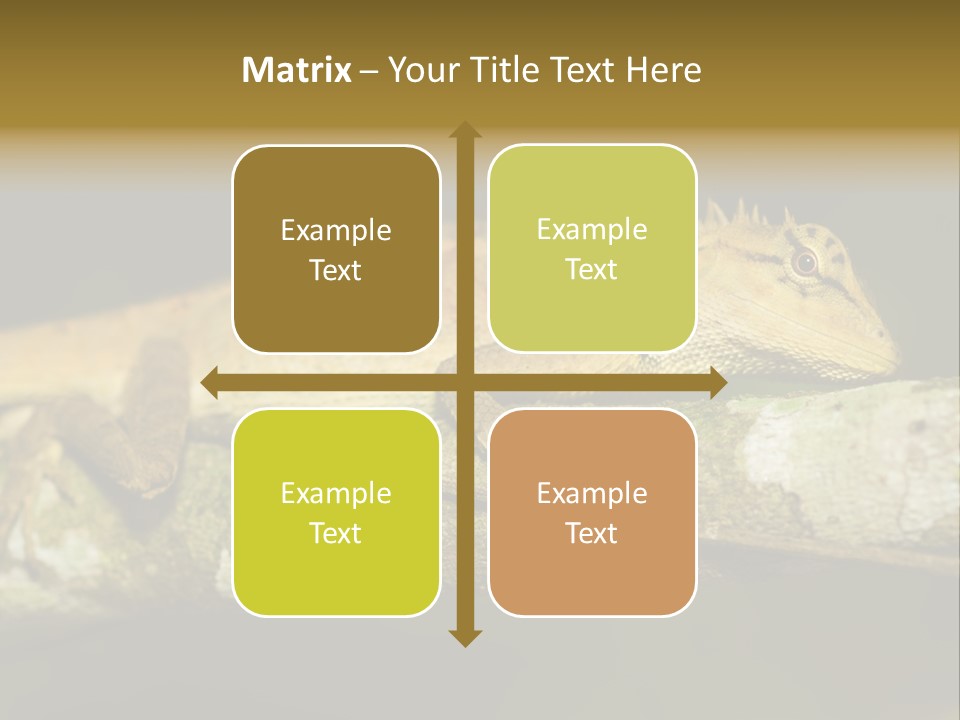 Color Eye Single PowerPoint Template