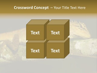 Color Eye Single PowerPoint Template