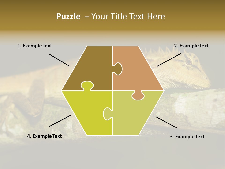 Color Eye Single PowerPoint Template