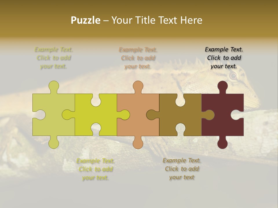 Color Eye Single PowerPoint Template