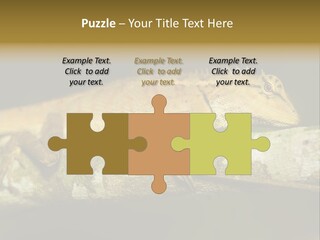 Color Eye Single PowerPoint Template